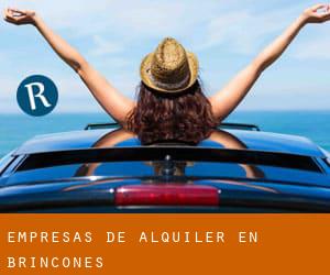 Empresas de Alquiler en Brincones